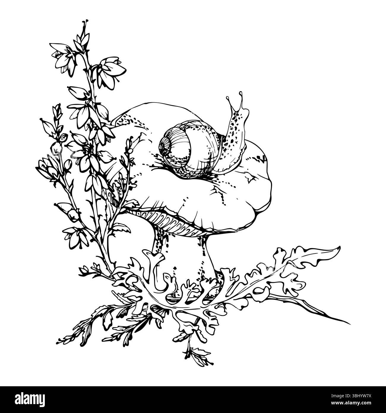 Champignon Russula webcap, escargot sur le dessus, croissance de lichen de mousse, fleurs de bruyère. Scène de l'habitat du plancher forestier. Illustration de la nature dessinée à la main à l'encre vectorielle Illustration de Vecteur