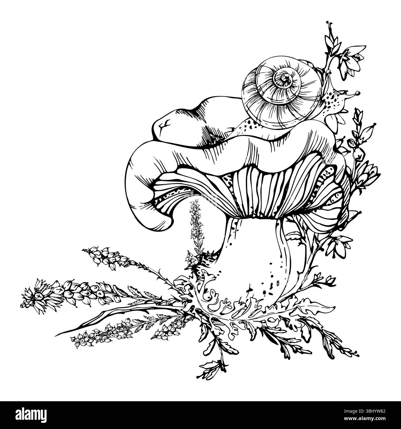 Champignon Russula webcap, escargot sur le dessus, croissance de lichen de mousse, fleurs de bruyère. Nature composition dessinée à la main dans l'encre vectorielle. Scène de l'habitat du plancher forestier Illustration de Vecteur