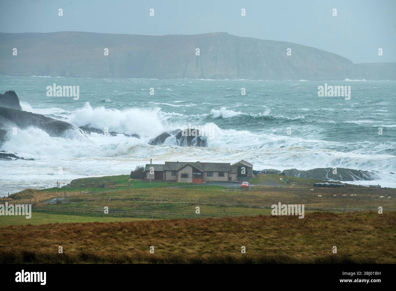 D'énormes vagues s'écrasent contre la côte des Shetland après une tempête majeure, avec une maison isolée au premier plan se tenant résistante sous un ciel dramatique. Banque D'Images