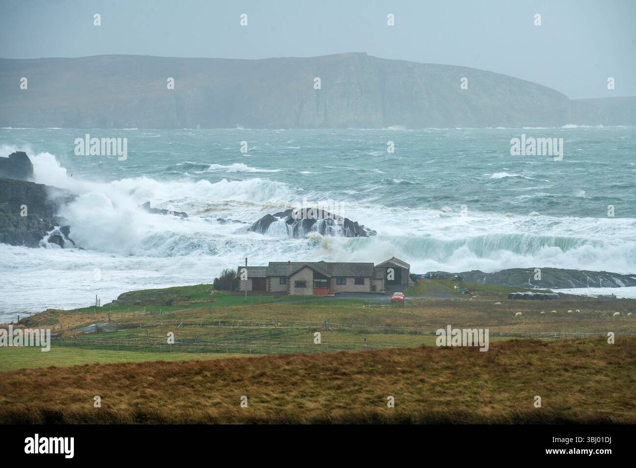 D'énormes vagues s'écrasent contre la côte des Shetland après une tempête majeure, avec une maison isolée au premier plan se tenant résistante sous un ciel dramatique. Banque D'Images