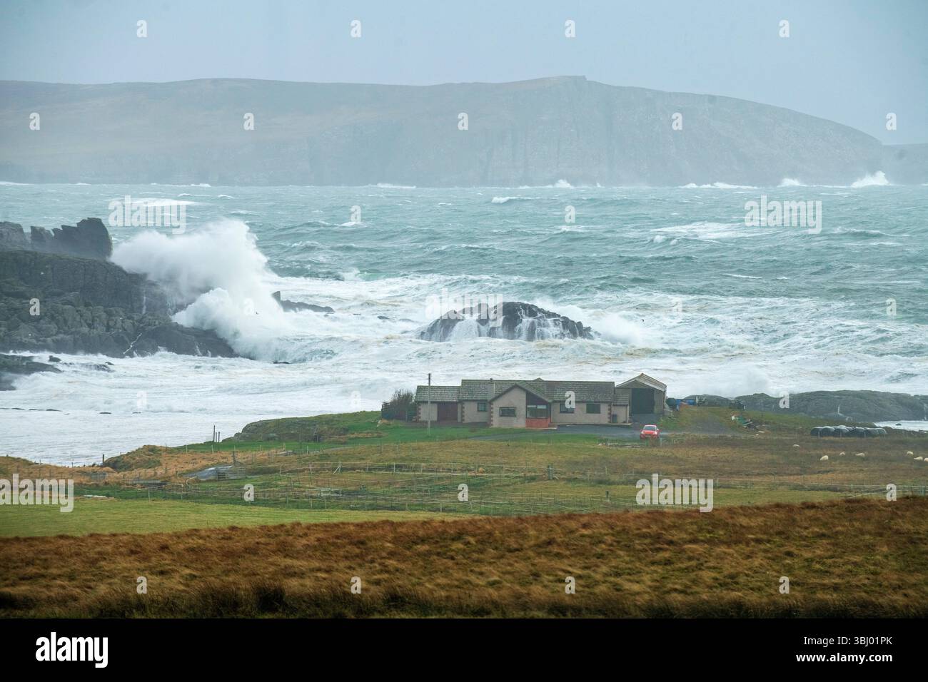 D'énormes vagues s'écrasent contre la côte des Shetland après une tempête majeure, avec une maison isolée au premier plan se tenant résistante sous un ciel dramatique. Banque D'Images