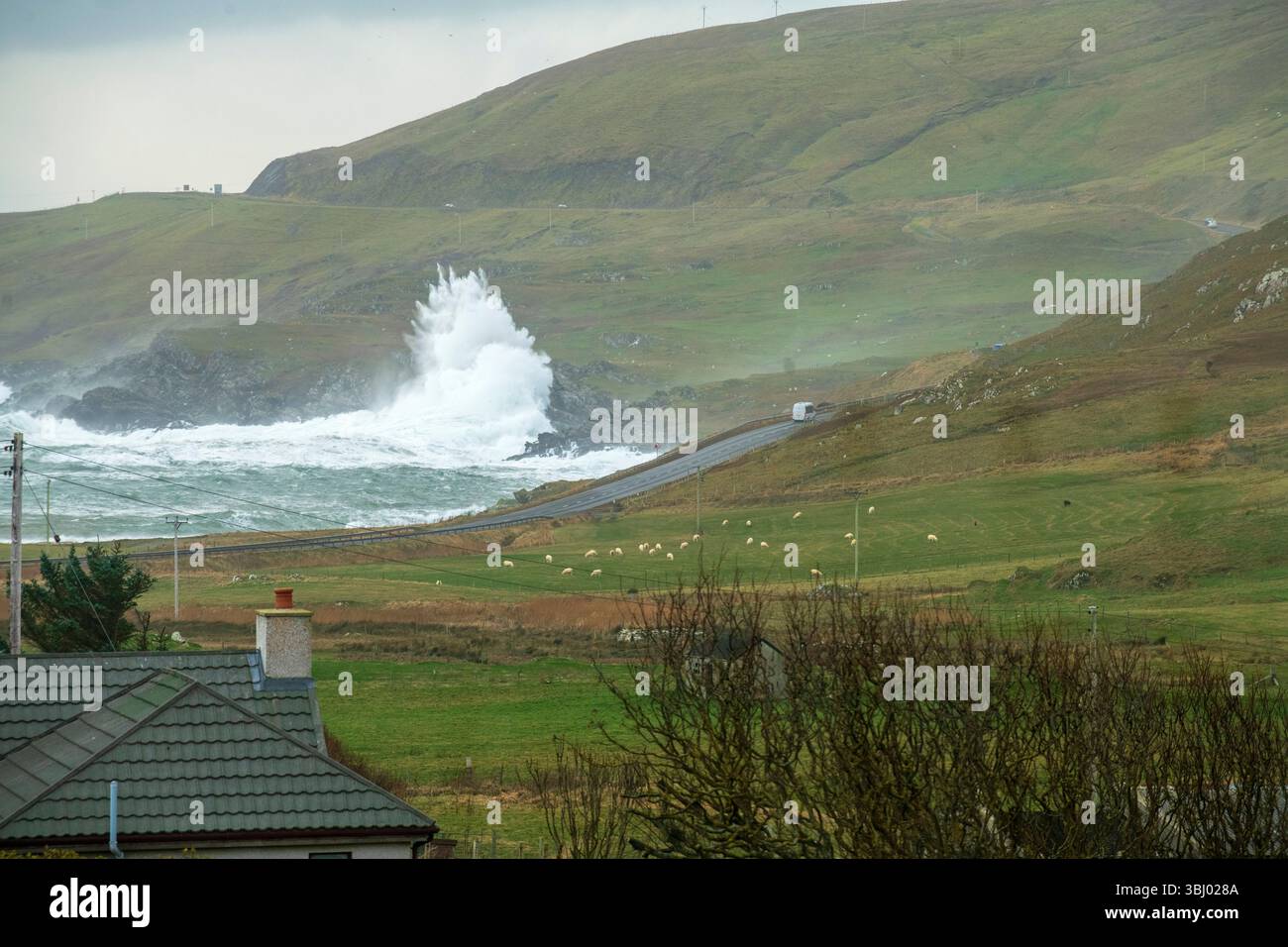 D'énormes vagues s'écrasent contre la côte des Shetland après une tempête majeure, avec une maison isolée au premier plan se tenant résistante sous un ciel dramatique. Banque D'Images