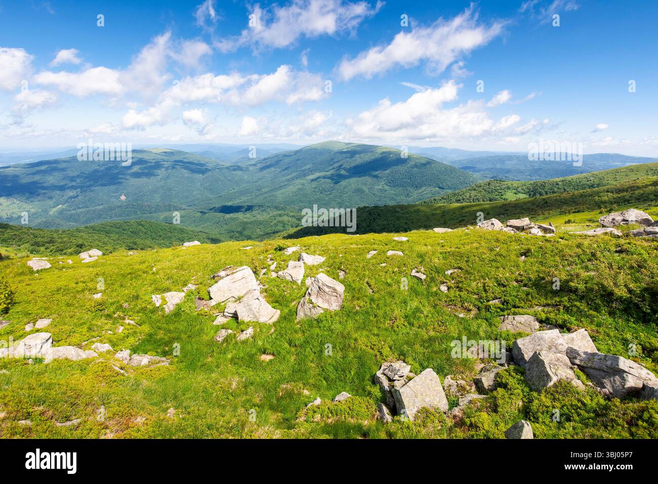 paysage alpin avec des collines verdoyantes. vue sur la vallée. paysage montagneux des carpates en été. rochers parmi l'herbe sur la pente. superbe fond de voyage. Banque D'Images