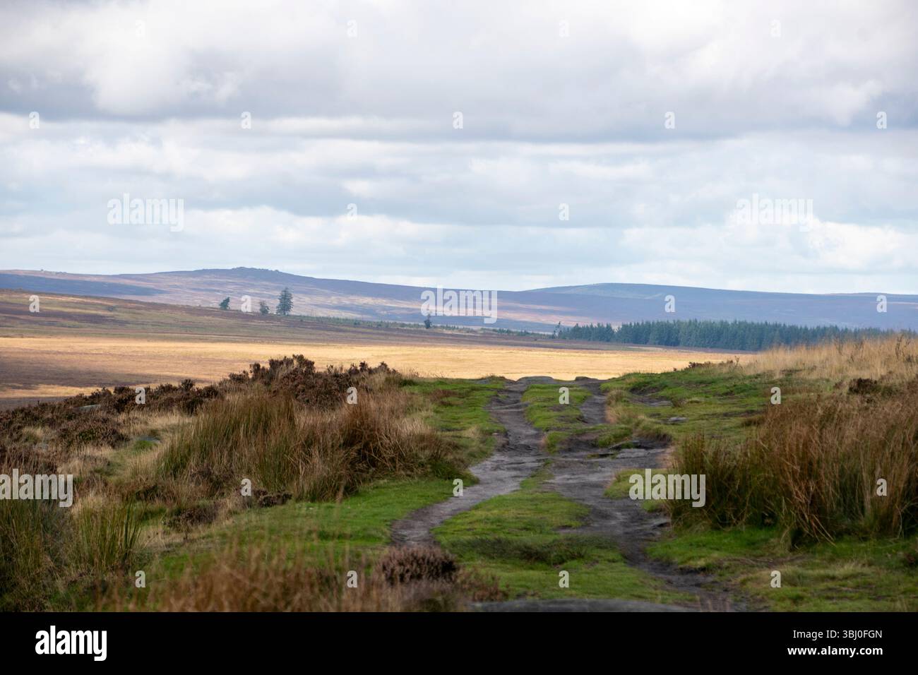 Jeu de lumière et d'ombre comme un sentier à Upper Burbage mène vers le paysage ouvert lointain des pics sombres, Peak District, Royaume-Uni Banque D'Images