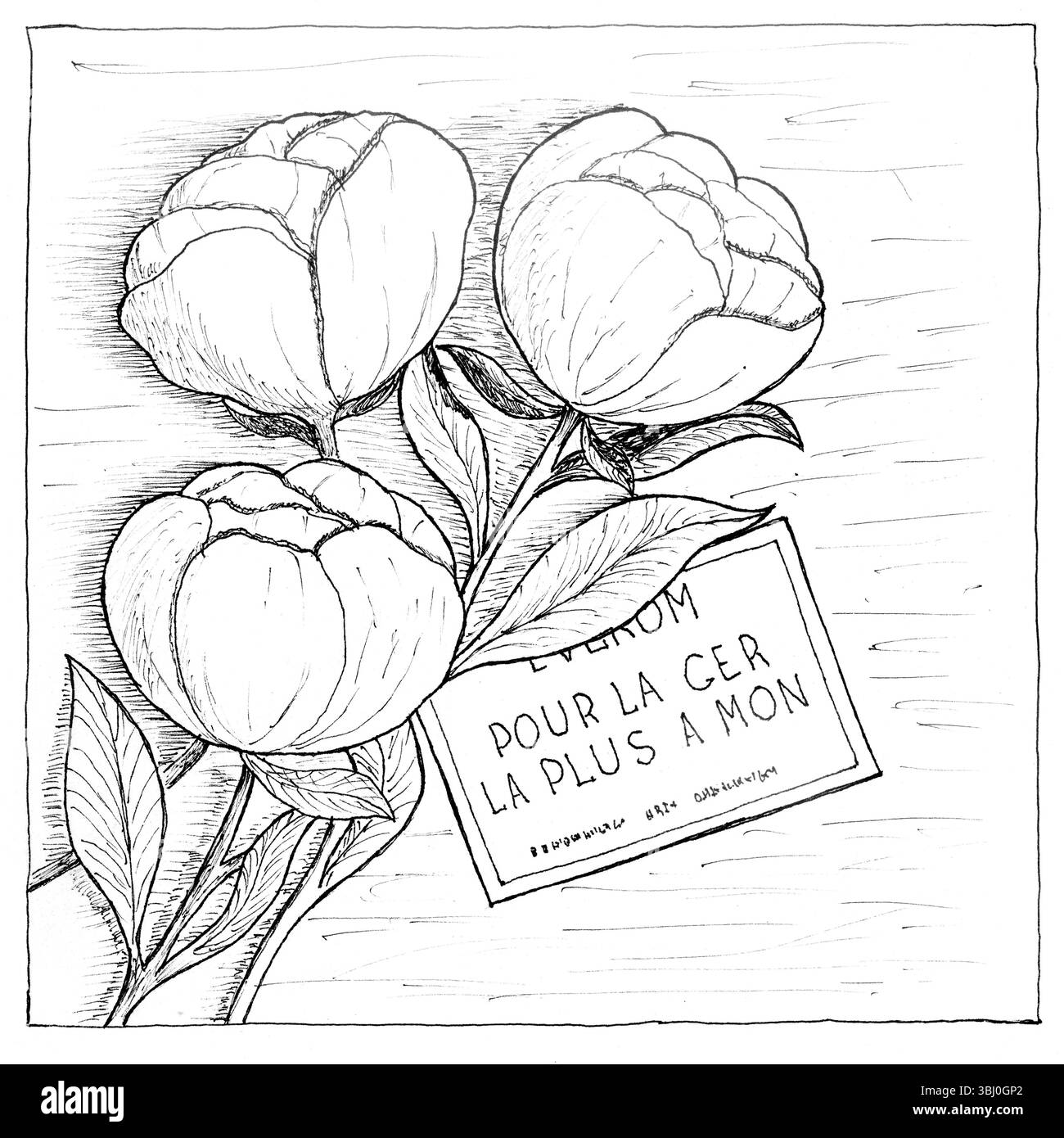 Illustration au stylo noir et blanc représentant d'élégantes fleurs de pivoine accompagnées d'une note d'amour française « pour la ger la plus a mon » (pour le plus cher). T Banque D'Images