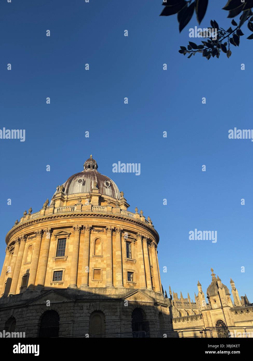 Radcliffe Camera, une salle de lecture de la Bodleian Library, Université d'Oxford, Oxford, Oxfordshire, Angleterre Banque D'Images
