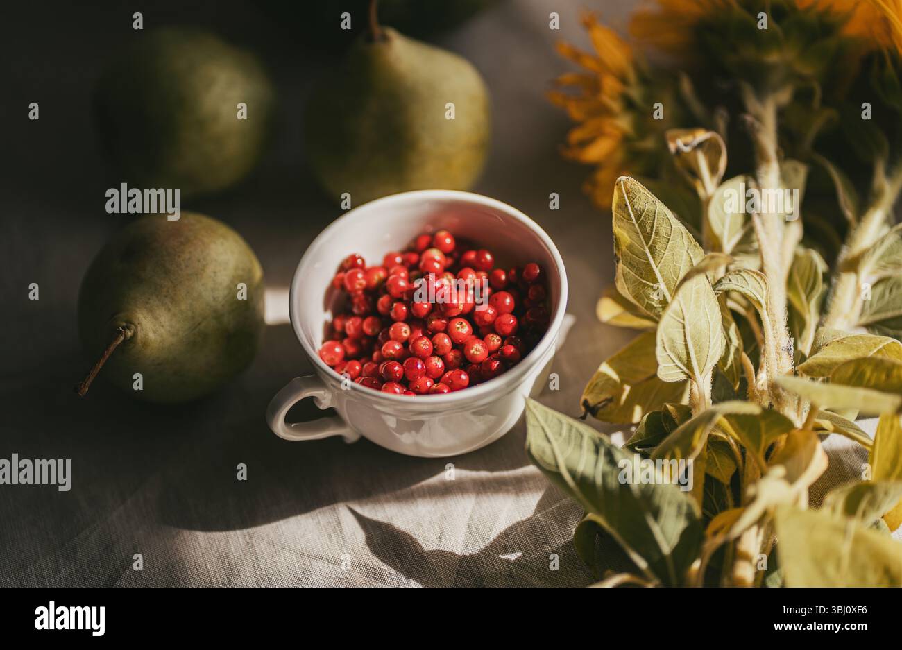 Airelles fraîches dans une tasse blanche avec des poires et des tournesols du marché des agriculteurs Banque D'Images