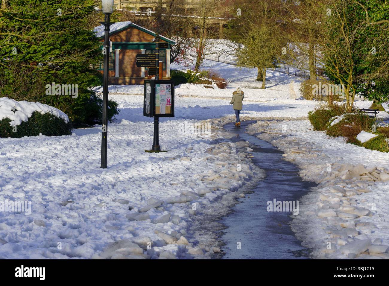 Quelqu'un marche seul sur un chemin glacé dans un parc d'hiver à Harrogate, Yorkshire, Royaume-Uni. Banque D'Images