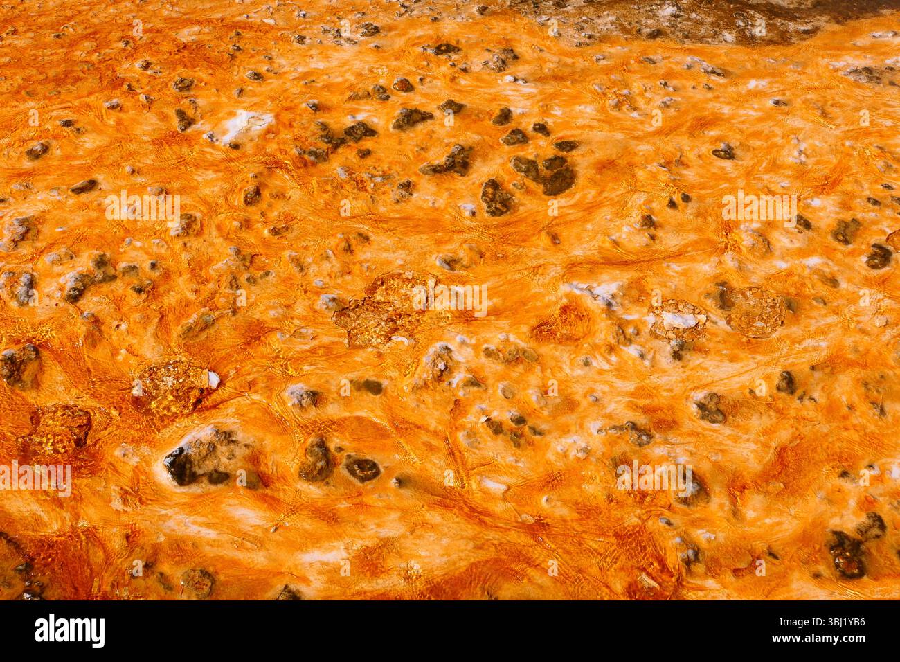 Tapis microbiens colorés à Grand Prismatic Spring, parc national de Yellowstone, formés par des bactéries thermophiles dans les eaux géothermiques. Banque D'Images