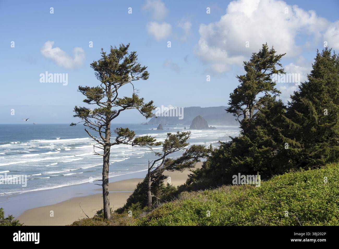 Plage ensoleillée avec de grands rochers dans la mer et ciel bleu clair, atmosphère paisible et relaxante, Haystack Rock, Cannon Beach, Oregon, États-Unis, Amérique du Nord Banque D'Images