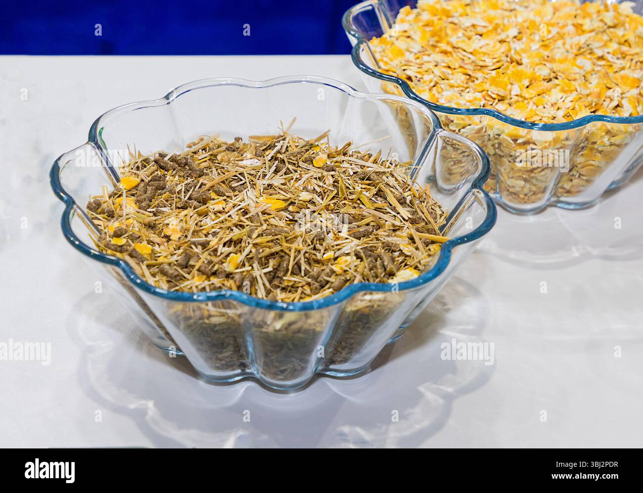 Nourriture naturelle pour nourrir les animaux de ferme dans des bols en verre Banque D'Images