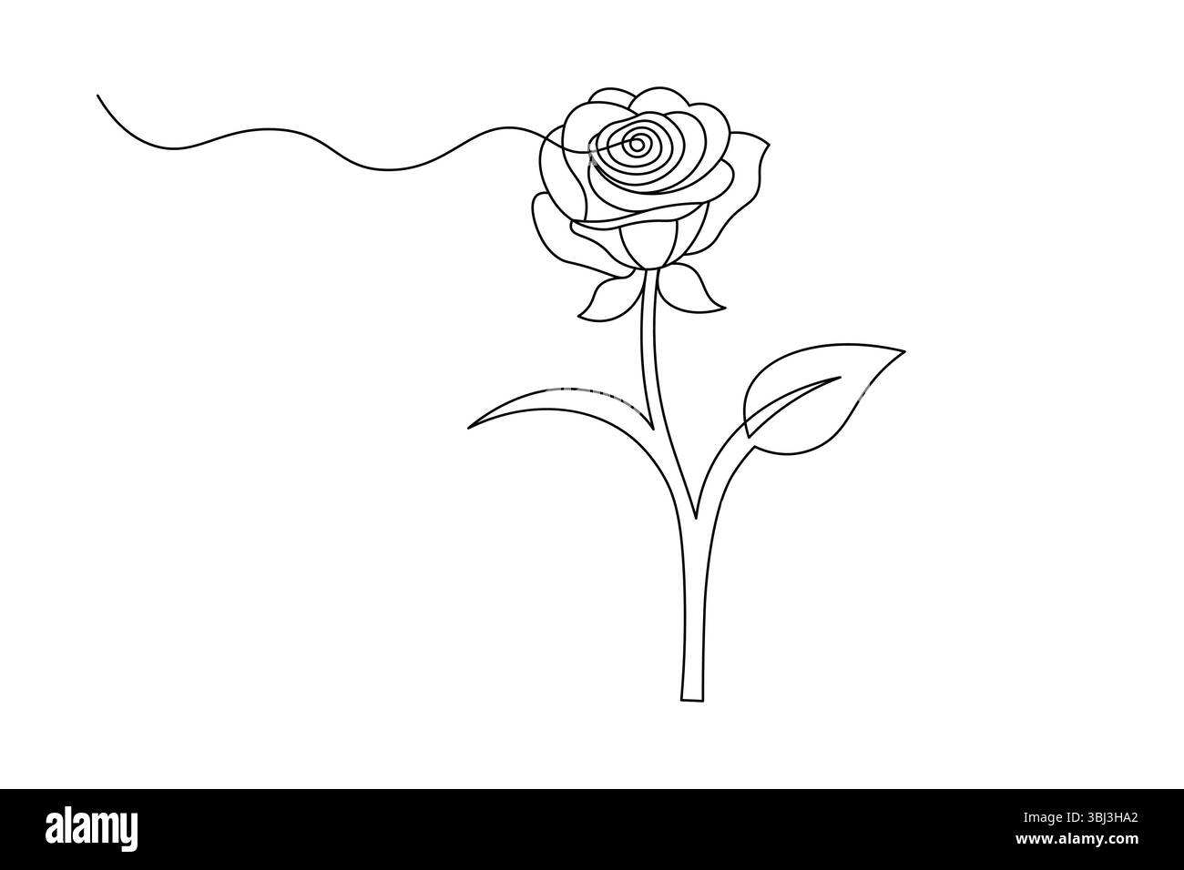 Fleur de rose dessin de ligne continue élégant une ligne Art d'une rose minimaliste. illustration vectorielle Illustration de Vecteur