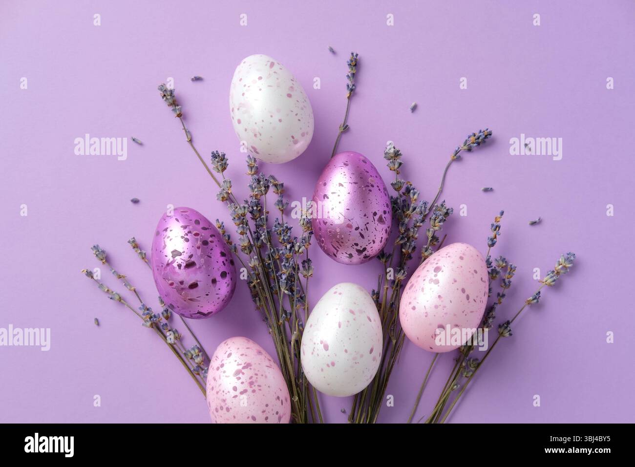 Vue de dessus oeufs de Pâques en couleur violette et bouquet de lavande Banque D'Images