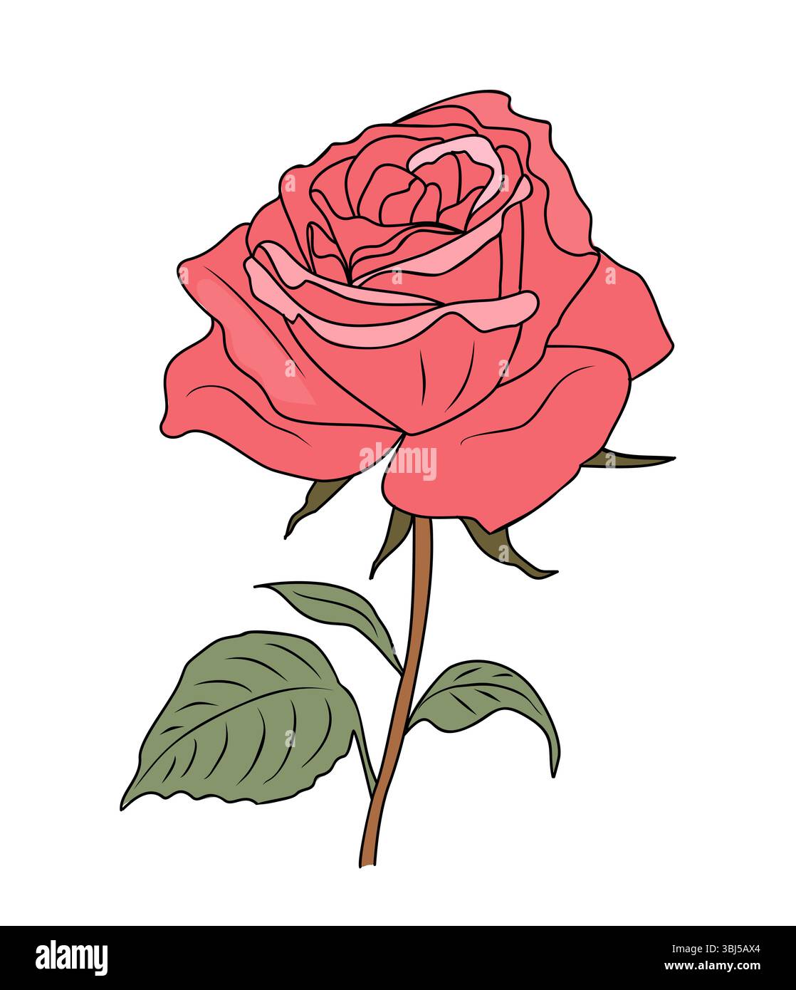 Rose juin mois de naissance illustration vectorielle de fleur Illustration de Vecteur