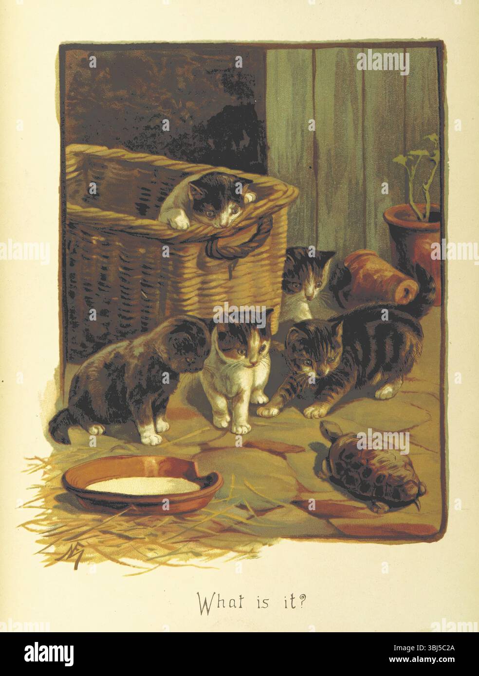 Qu'est-ce que c'est ?, 1893. Chatons curieux et tortue. Page 44 de "nos amis et tout ce qui les concerne [en vers.]" Edith Bland. Illustré par Louisa, marquise de Waterford, Fanny Moody et W. Gilbert Foster, 1893. [Londres, Angleterre] Banque D'Images