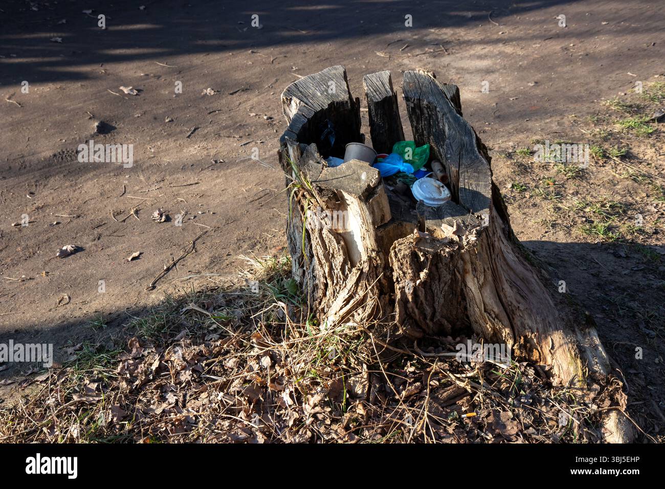 Déchets jetés à l'intérieur d'une souche d'arbre dans un parc ou une rue de la ville. Un contraste frappant entre la pollution urbaine et les éléments naturels, mettant en évidence les questions de Banque D'Images