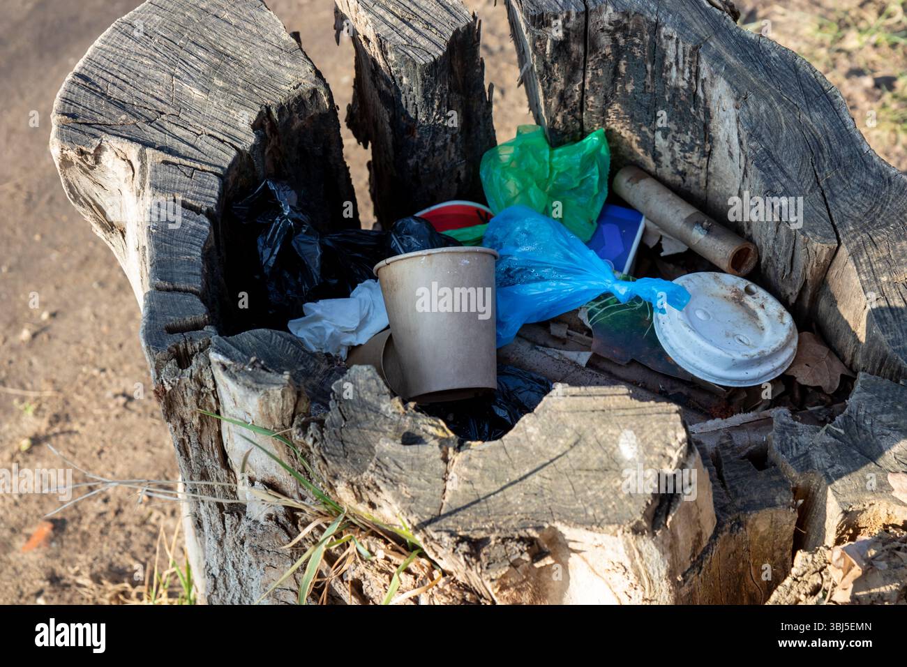 Déchets jetés à l'intérieur d'une souche d'arbre dans un parc ou une rue de la ville. Un contraste frappant entre la pollution urbaine et les éléments naturels, mettant en évidence les questions de Banque D'Images