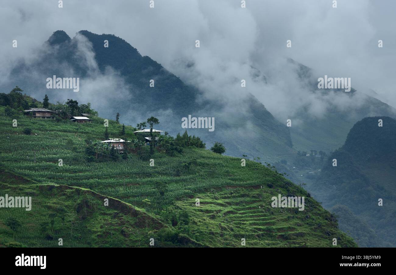 Les petites maisons de fermiers parmi les plantations de maïs sur les pentes des collines Banque D'Images