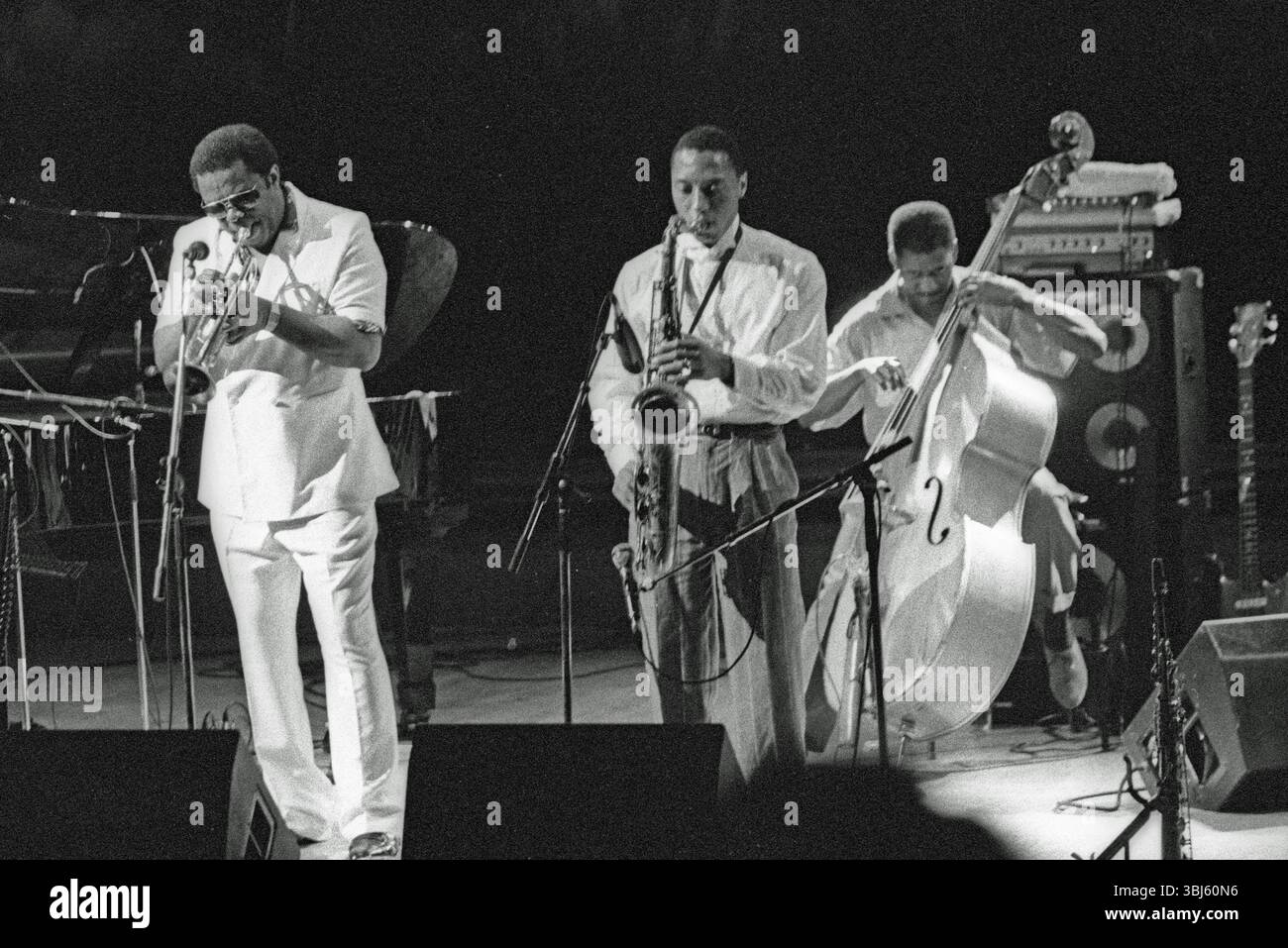 Ralph Moore et Freddie Hubbard, JVC Capital Jazz Festival, Royal Festival Hall, Londres, septembre 1993. Banque D'Images