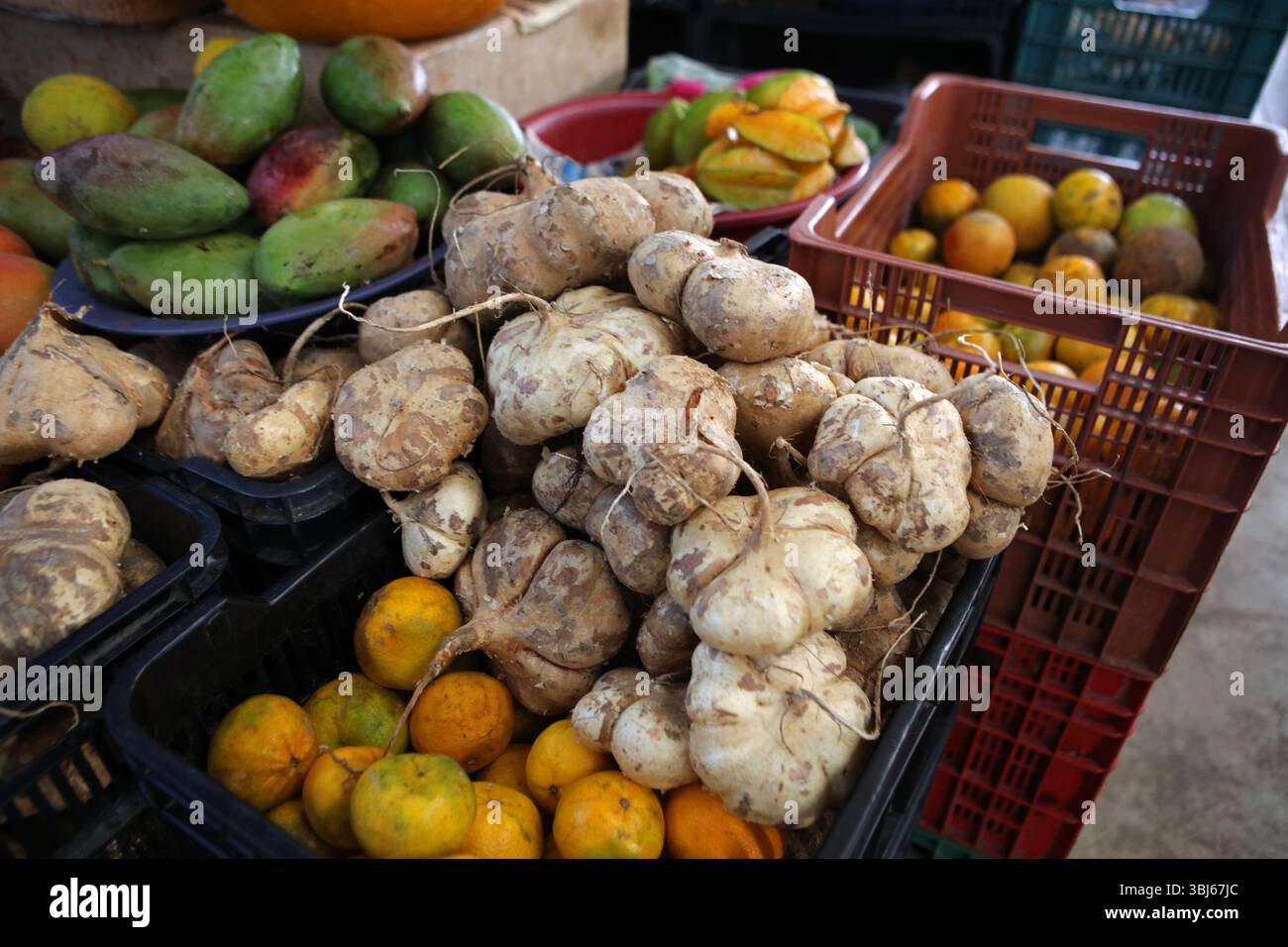 Fruits et légumes locaux au marché de Valladolid, Yucatan, Mexique Banque D'Images