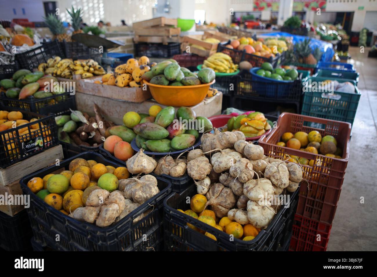 Fruits et légumes locaux au marché de Valladolid, Yucatan, Mexique Banque D'Images