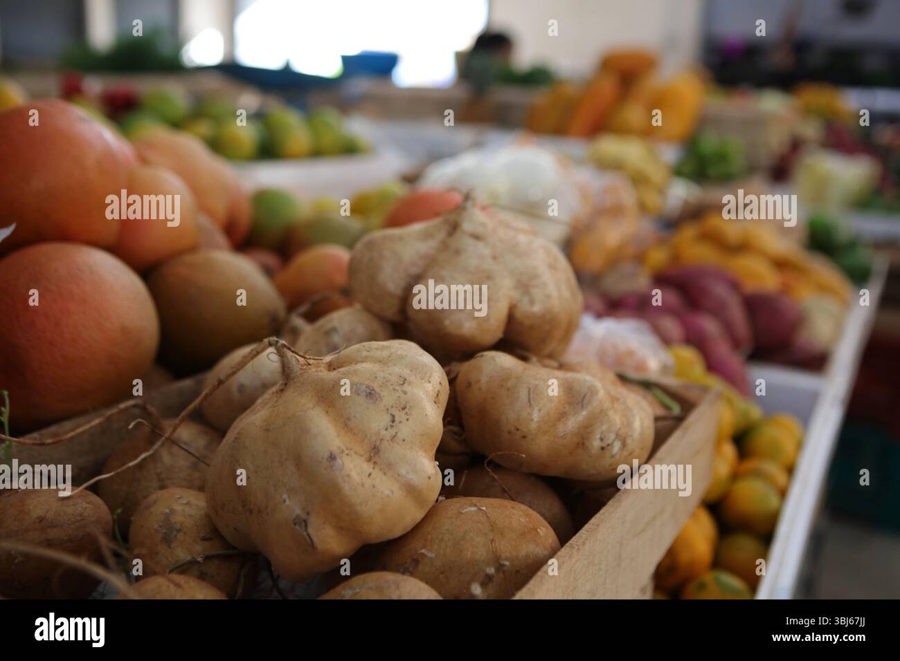 Fruits et légumes locaux au marché de Valladolid, Yucatan, Mexique Banque D'Images