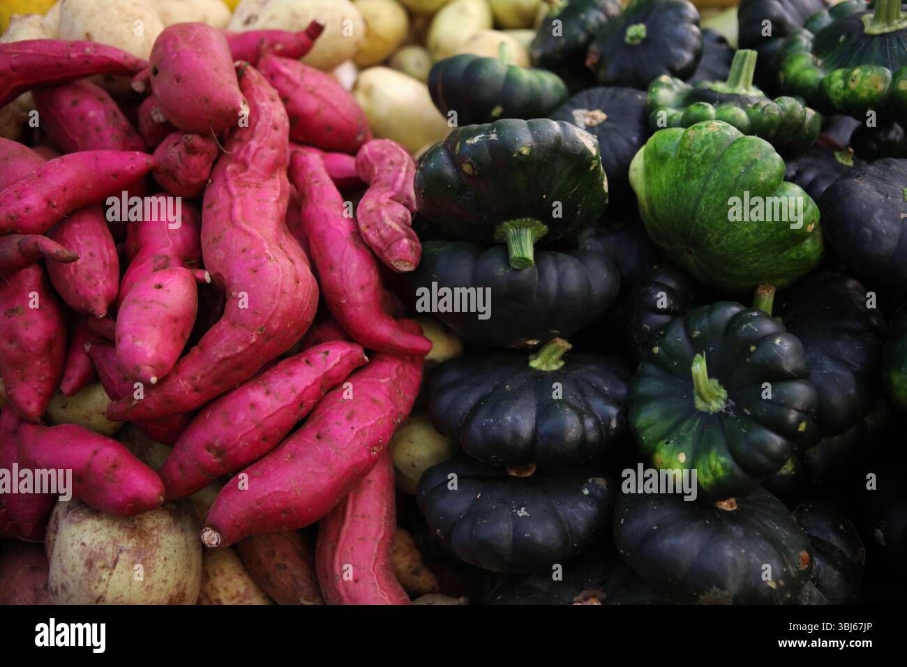 Fruits et légumes locaux au marché de Valladolid, Yucatan, Mexique Banque D'Images