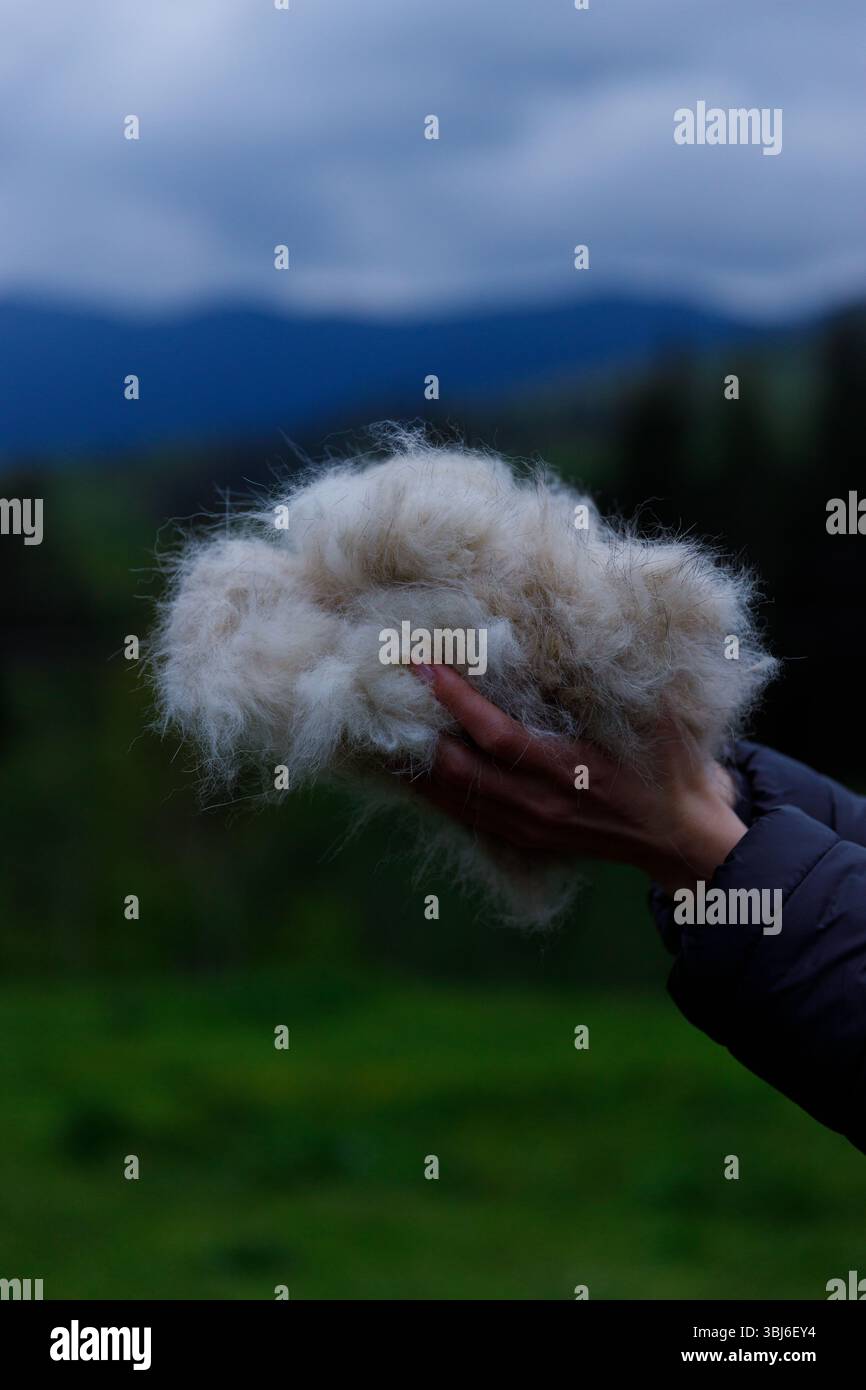 Image en gros plan de la main d'une personne tenant une substance blanche et moelleuse, placée contre un ciel sombre et nuageux et des montagnes verdoyantes, évoquant la tranquillité et le nav Banque D'Images
