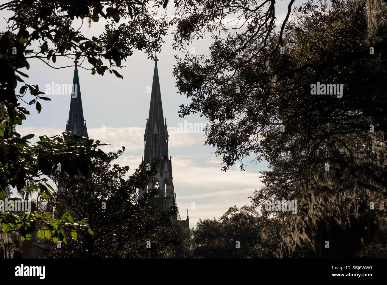 À travers les arbres, vue sur la cathédrale de Jean Baptiste à Savannah, Géorgie. Banque D'Images À travers les arbres, vue sur la cathédrale de Jean Baptiste à Savannah, Géorgie. Banque D'Images
