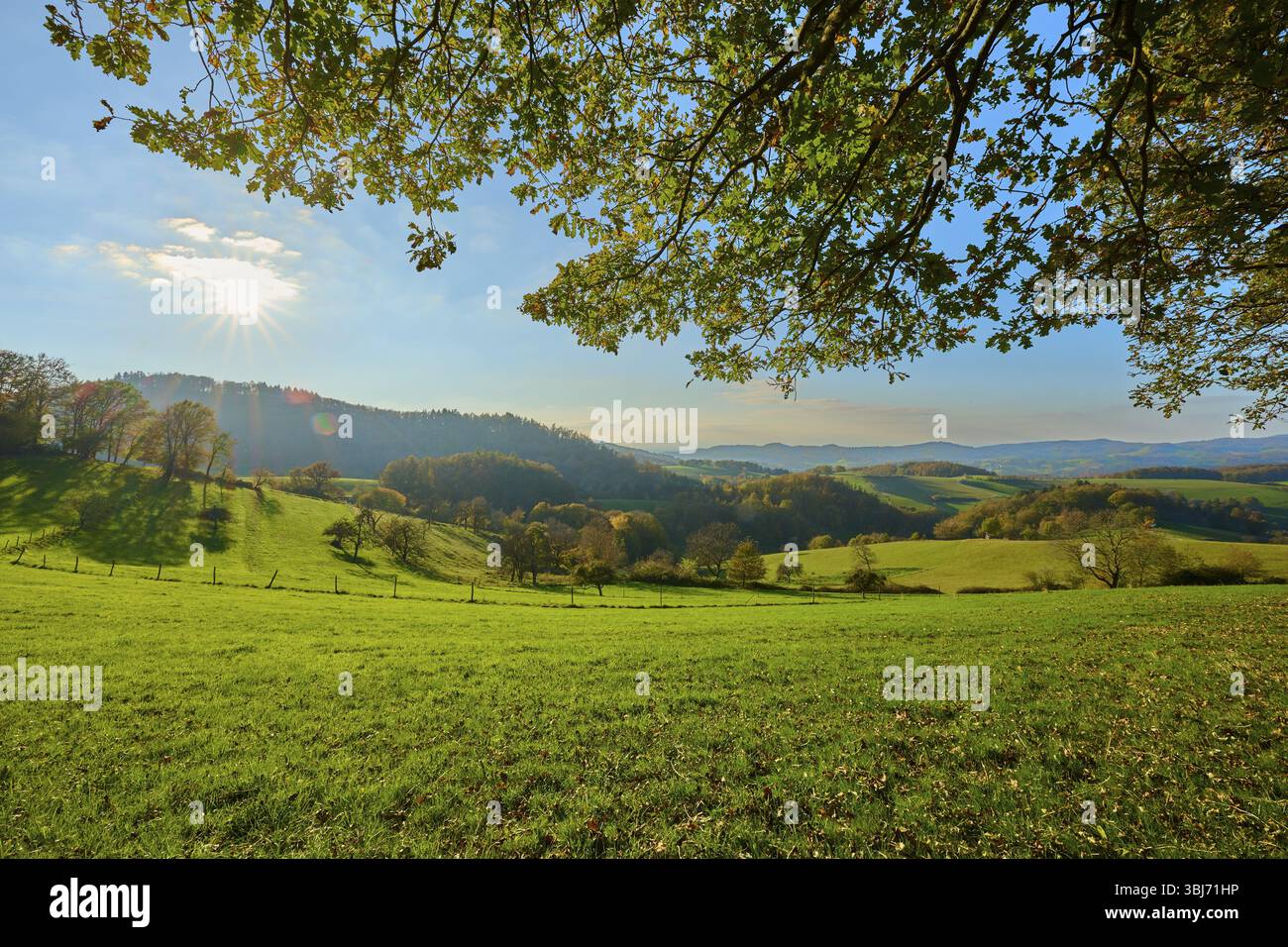 Paysage ensoleillé et pittoresque avec des collines verdoyantes, des arbres et un ciel dégagé en arrière-plan, Voeckelsbach, Moerlenbach, Bergstrasse district, Odenwald, HES Banque D'Images