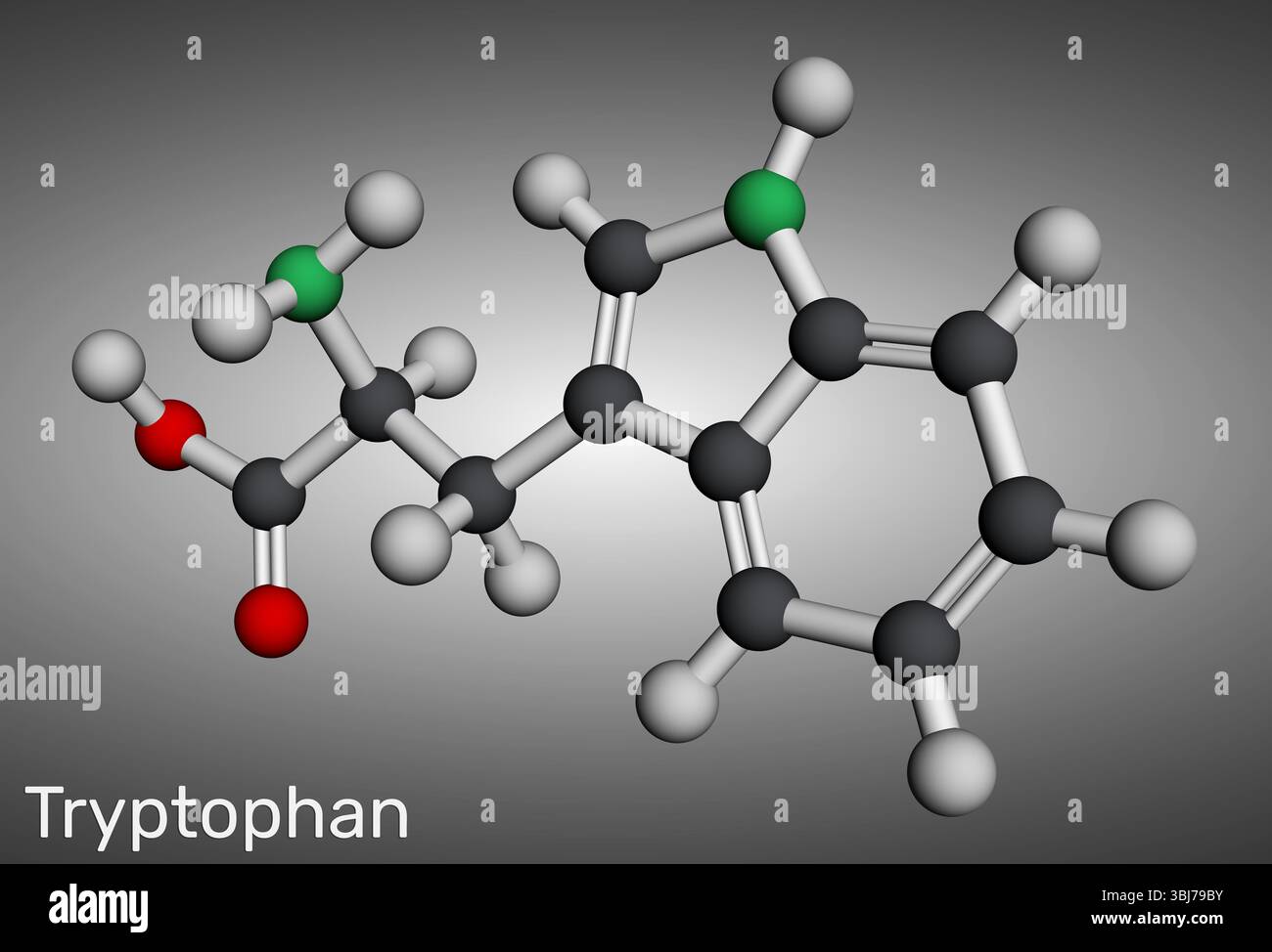 Structure chimique des molécules de tryptophane, Trp ou W. Acide aminé essentiel et précurseur de la sérotonine. Modèle moléculaire. Rendu 3D. Illustration Banque D'Images