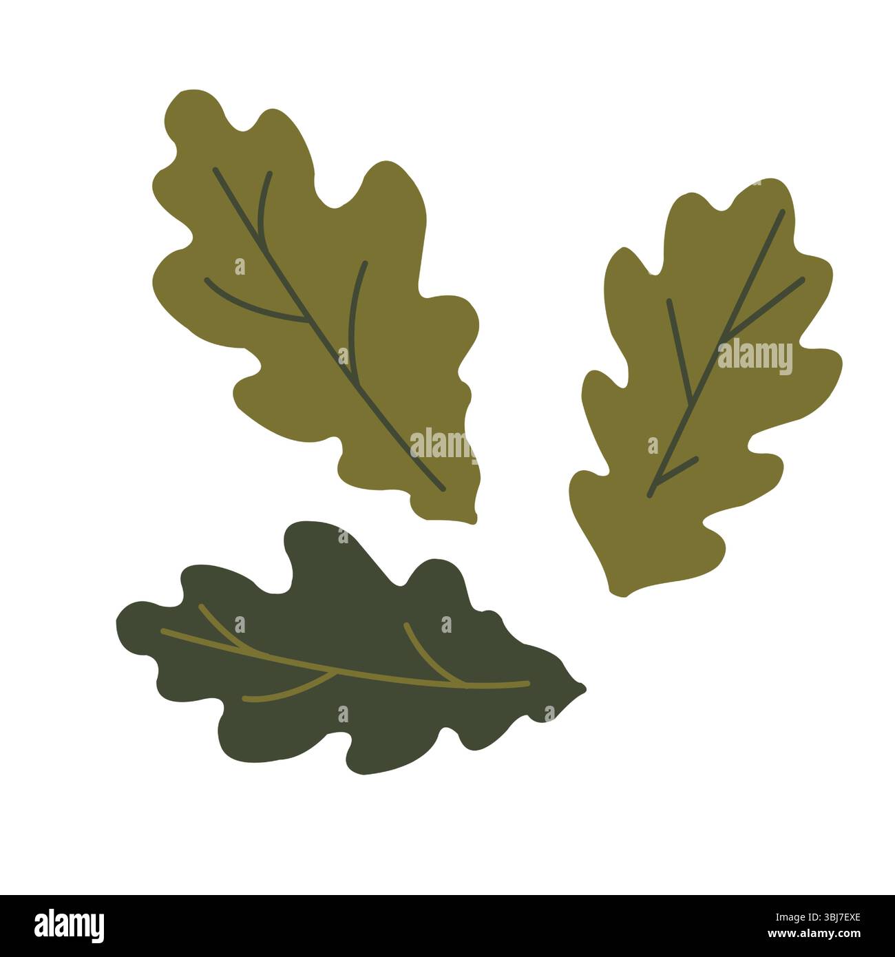 Ensemble de feuilles de chêne stylisées de couleurs vert foncé et vert clair avec des veines. Illustration plate vectorielle pour la conception d'emballage d'automne, textiles, modèle Illustration de Vecteur