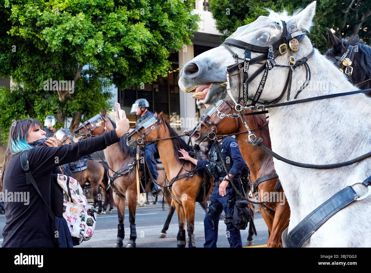 Los Angeles, États-Unis. 11 juin 2025. La police montée affronte les manifestants lors des manifestations contre les politiques d'immigration du président Donald Trump. Trump a envoyé la Garde nationale californienne et les Marines américains à Los Angeles contre l'objection du gouverneur et du maire. Crédit : SOPA images Limited/Alamy Live News Banque D'Images