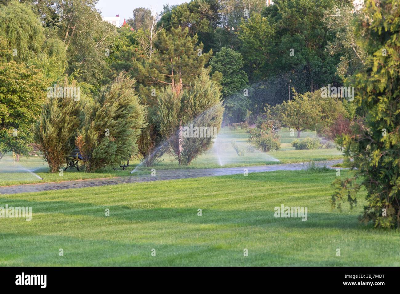 Une gamme de gicleurs pulvérisant de l'eau à travers l'herbe verte, entouré d'arbres et de buissons sur un vaste terrain de golf en été. Banque D'Images