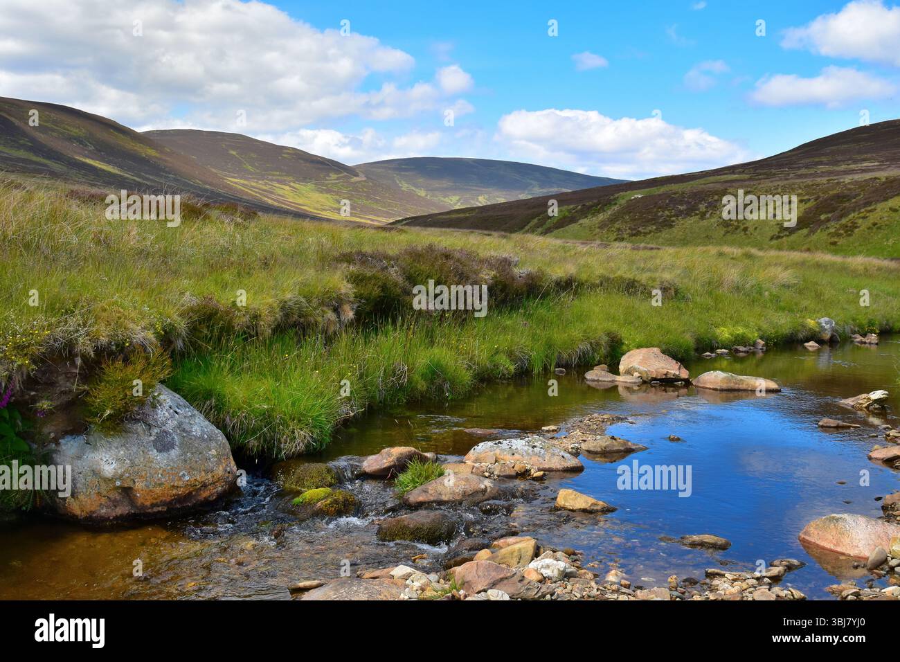 Les eaux de l'ouest brûlent à Glenmoye dans l'Angus Glens, en Écosse, un jour de juin, avec la colline Finbracks en arrière-plan à la tête de Glenmoy. Banque D'Images