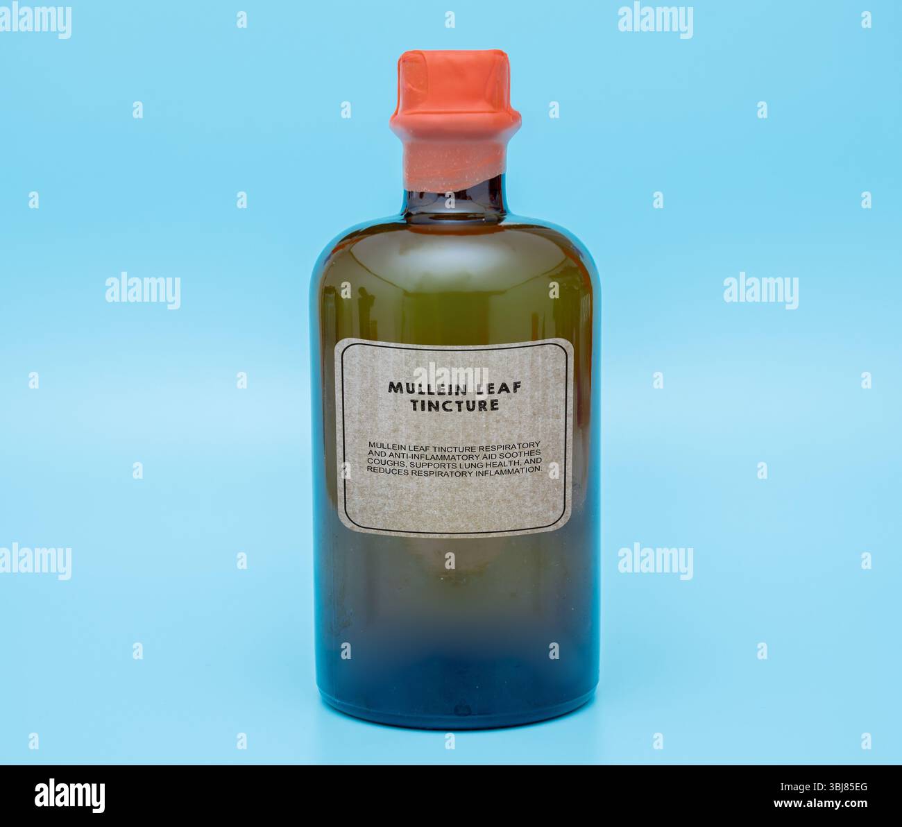 Teinture de feuilles de molène. Aide respiratoire et anti-inflammatoire. Apaise la toux, soutient la santé pulmonaire et réduit l'inflammation respiratoire. Banque D'Images