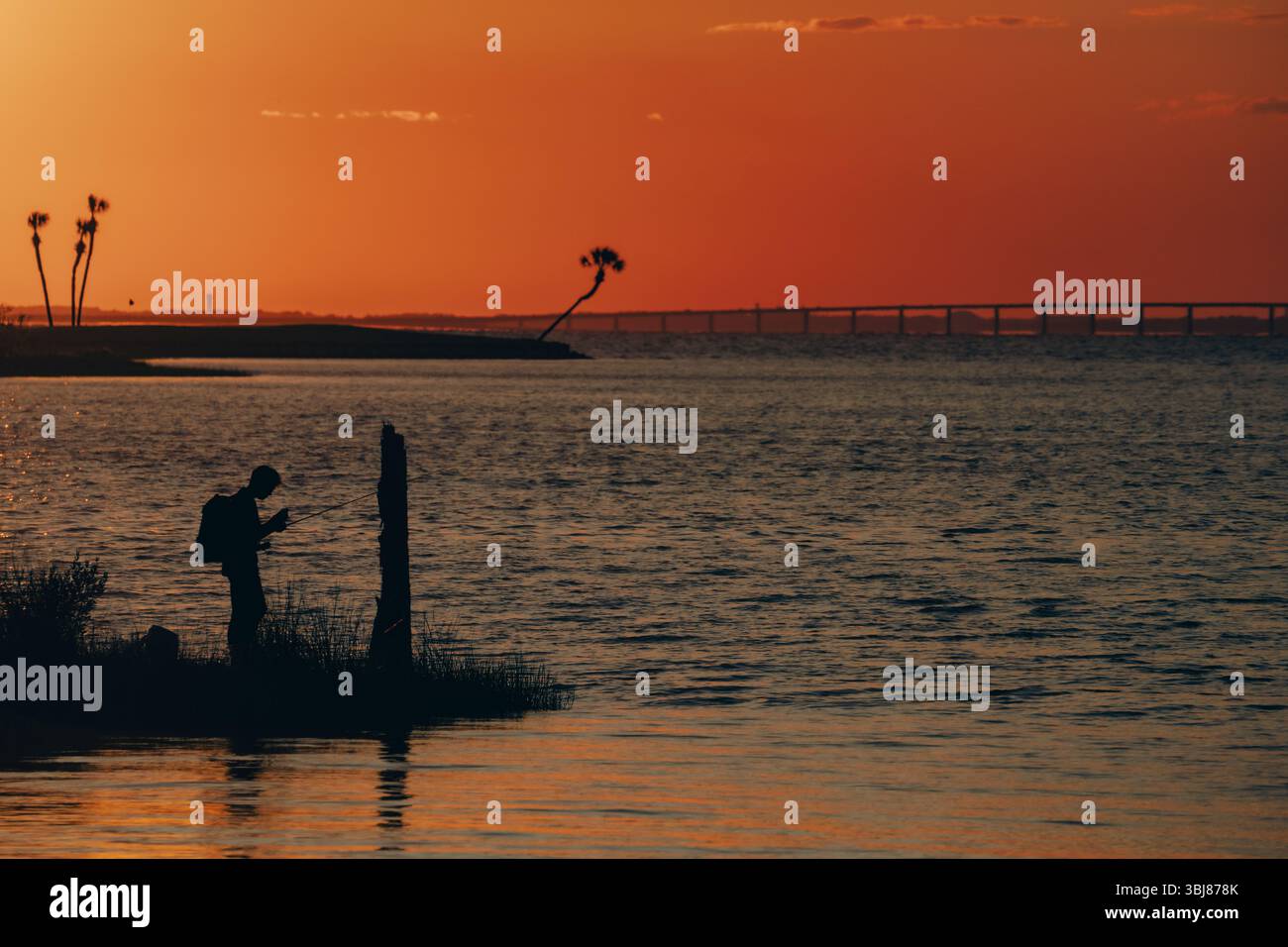 Une scène de coucher de soleil paisible mettant en vedette la silhouette d'un pêcheur jetant sa ligne près des palmiers, avec un long pont en arrière-plan. La lig dorée Banque D'Images