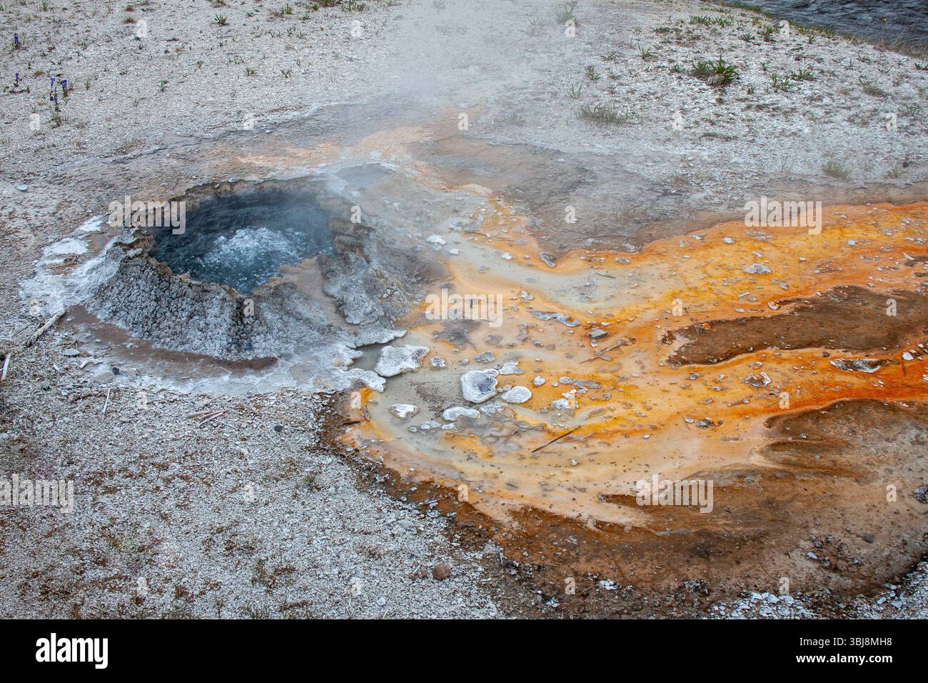 Geyser bouillonnant avec ruissellement minéral orange vibrant dans le parc national de Yellowstone, Wyoming, États-Unis Banque D'Images