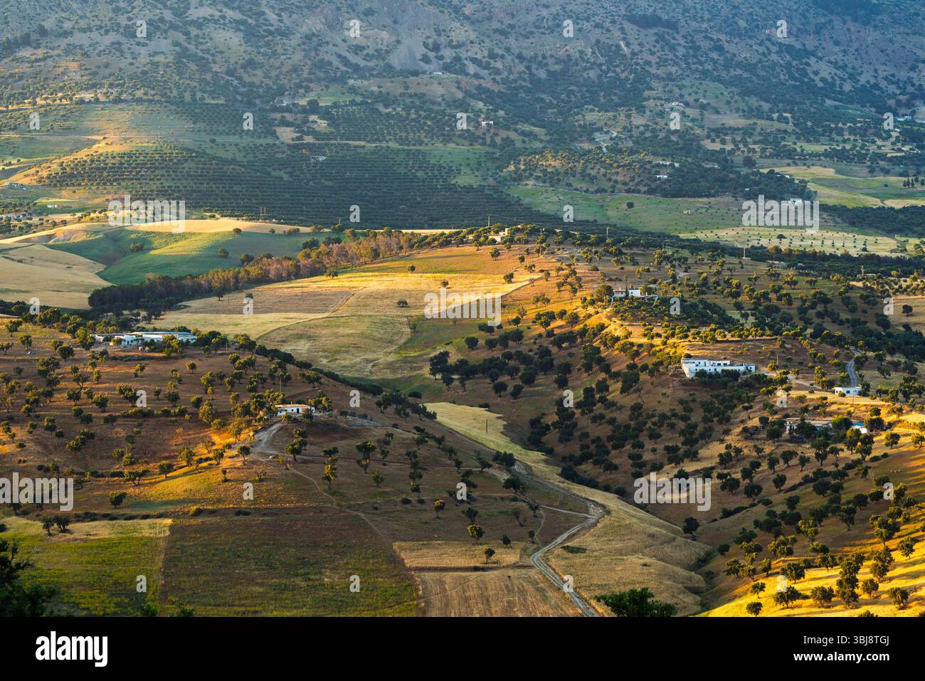 La lumière du soleil pèle des champs en terrasses, des oliveraies et des fermes dispersées dans les contreforts du nord du Maroc pendant l'heure dorée Banque D'Images