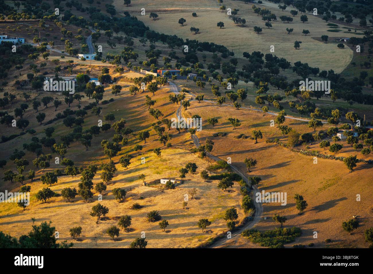 La lumière du soleil pèle des champs en terrasses, des oliveraies et des fermes dispersées dans les contreforts du nord du Maroc pendant l'heure dorée Banque D'Images