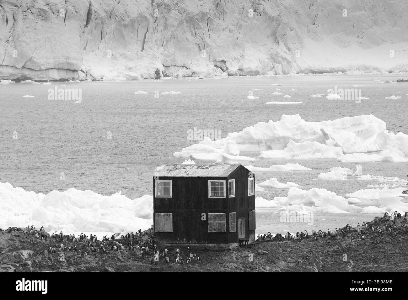 La base antarctique chilienne González Videla (Station de recherche scientifique) au point de bateau à eau dans Paradise Bay sur l'Antarctique continental, Antarctique Banque D'Images