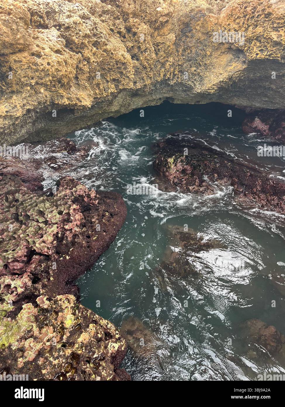Les grottes de sirène magiques et contes de fées sur le côté ouest de l'île d'O'ahu, Hawai'i, États-Unis. - Image de stock capturée avec un smartphone