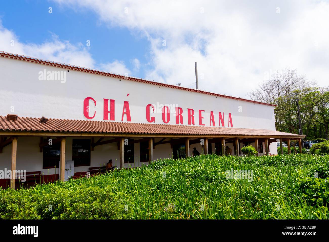 Île Sao Miguel, Açores, Portugal - 25 mai 2025 : usine et magasin Cha Gorreana sur l'île Sao Miguel, Açores, Portugal Banque D'Images