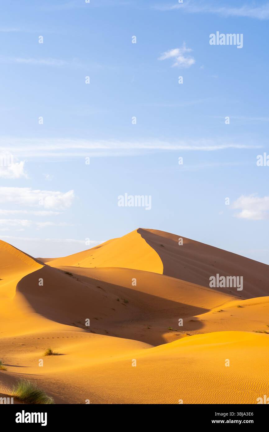 Vue du désert du Sahara au Maroc, Afrique. Le désert du Sahara est le plus grand désert chaud du monde. Banque D'Images