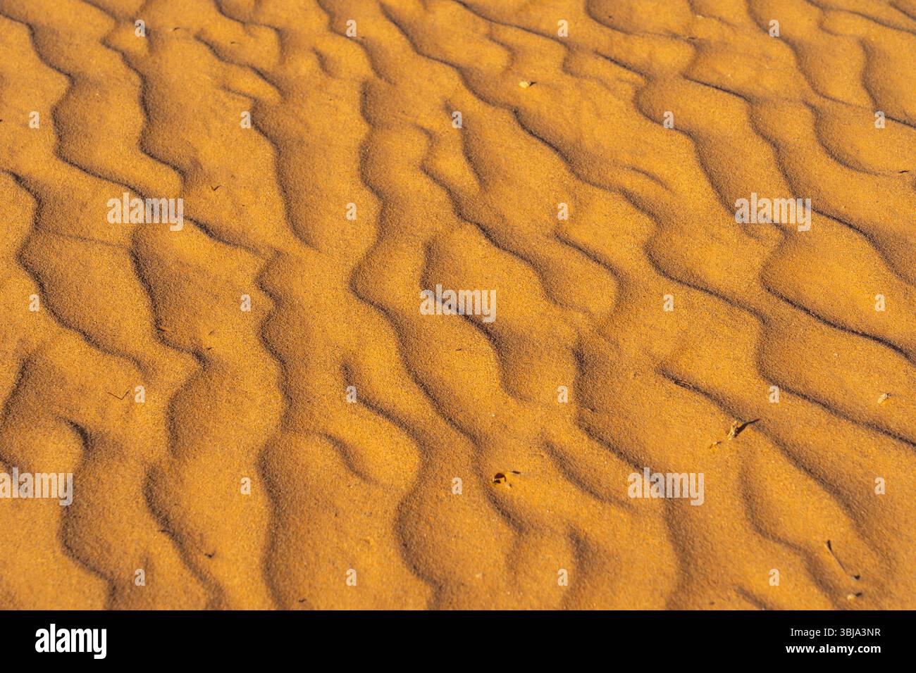 Texture des vagues de sable des dunes de sable du désert au crépuscule. Banque D'Images
