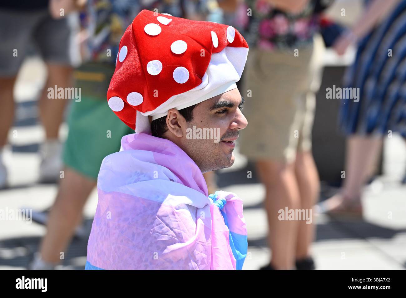 Vienne, Autriche. 14 juin 2025. . 29e Rainbow Parade sur la Ringstrasse de Vienne Banque D'Images