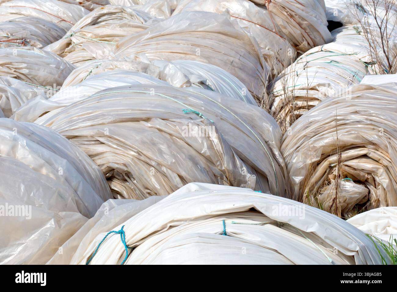Gros plan de rouleaux inutilisés de feuilles de polyéthylène stockés dans le coin d'un champ, largement utilisés dans l'agriculture moderne pour la construction de polytunnels. Banque D'Images