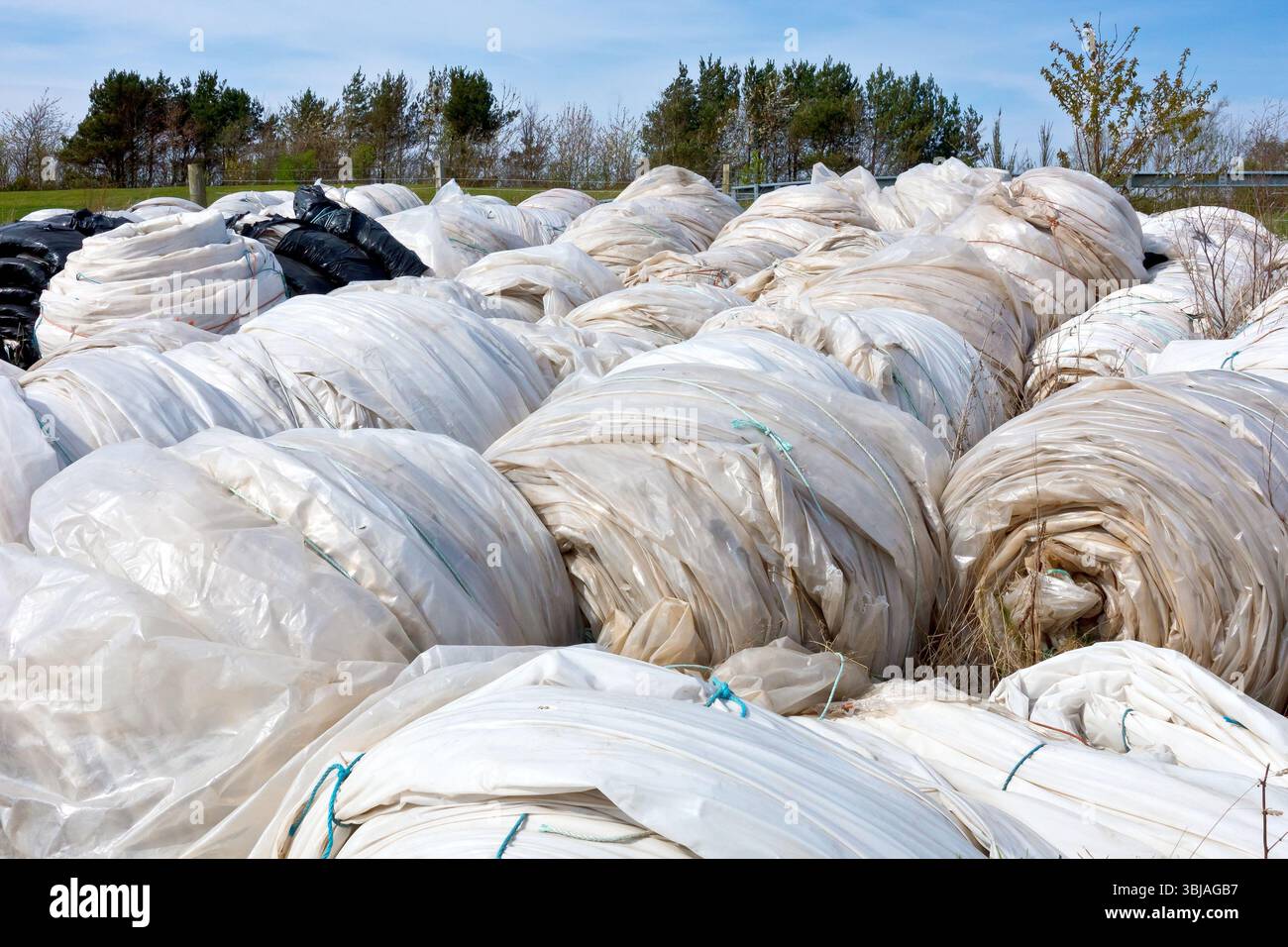 Gros plan de rouleaux inutilisés de feuilles de polyéthylène stockés dans le coin d'un champ, largement utilisés dans l'agriculture moderne pour la construction de polytunnels. Banque D'Images