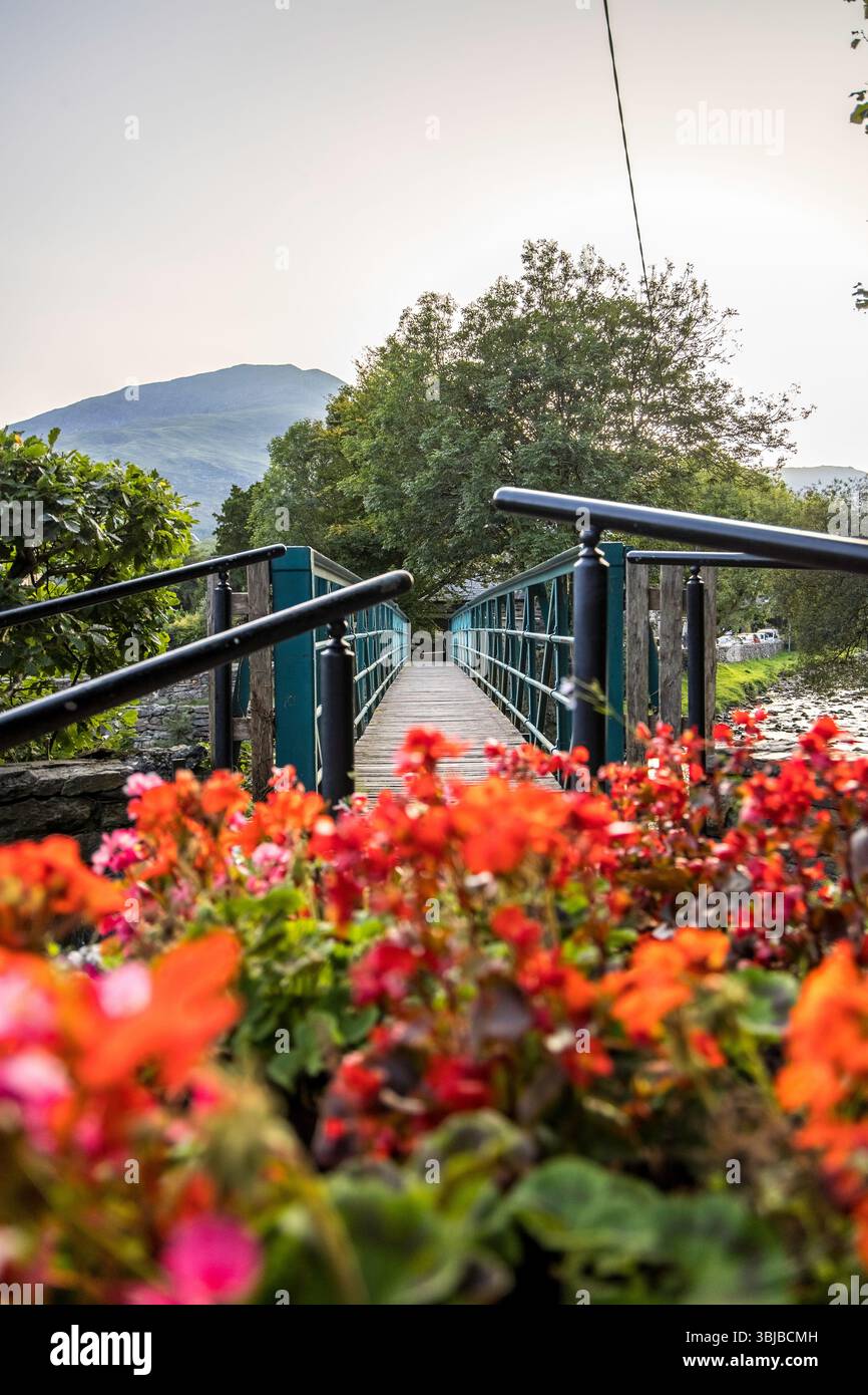 Beddgelert, pays de Galles - 5 septembre 2023 : Pont, rivière, fleurs, village parmi les paysages de montagne et il est plein de caractère et est riche en histoire Banque D'Images