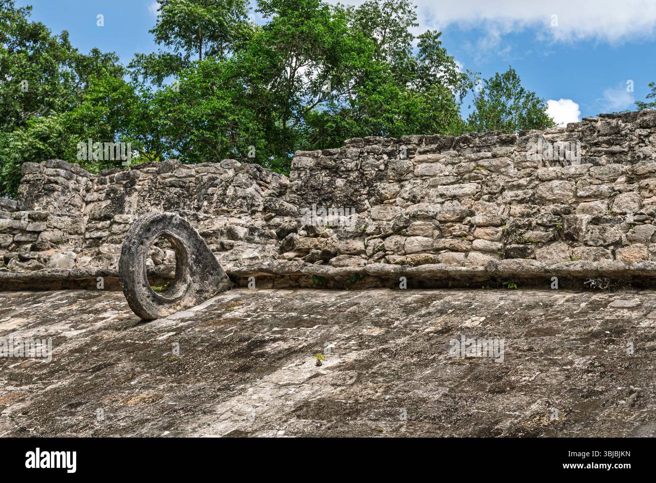 Ancien terrain de jeu de balle maya avec des murs de pierre et un terrain herbeux entouré de jungle sur le site archéologique de Coba, péninsule du Yucatan au Mexique. Banque D'Images